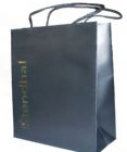 luxury paper gift bag